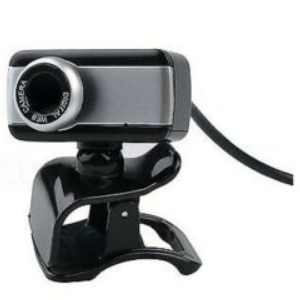 Webcam Oem Hall Pass Black/Silver