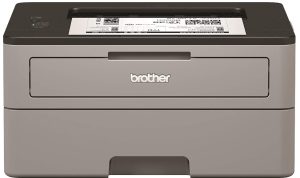 Stampante Laser B/N Brother Hl-L2310d