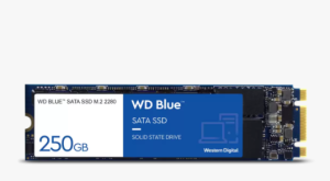 HARD DISK M.2 SSD 1TB WESTERN DIGITAL SOLID STATE WDS100T2B0B