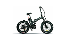 BICICLETTA ELETTRICA THE ONE RIDER 250W/36V 25KM/H MATTE BLACK