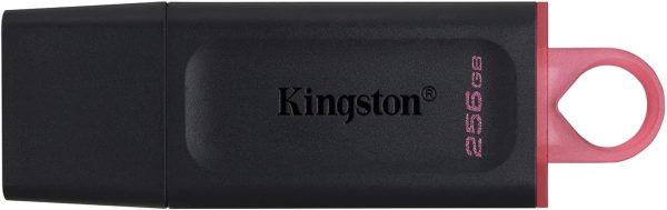 Memoria Usb 256gb 3.2 Kingston Dtx/256gb