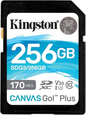MEMORY CARD SECURE DIGITAL 128GB KINGSTON CLASSE 10 SDR2V6/128GB