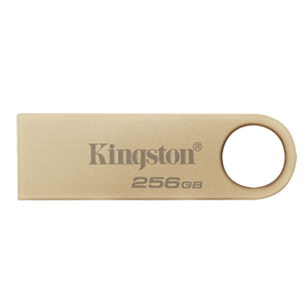 MEMORIA USB 256GB 3.2 KINGSTON DTSE9G3/256GB