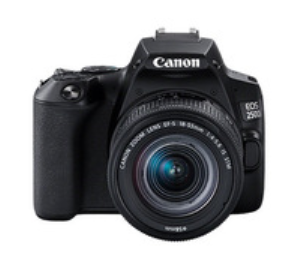 DIGITAL CAMERA REFLEX CANON EOS 250D + 18-55 STM BLACK