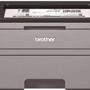 Stampante Laser B/N Brother Hl-L2310d